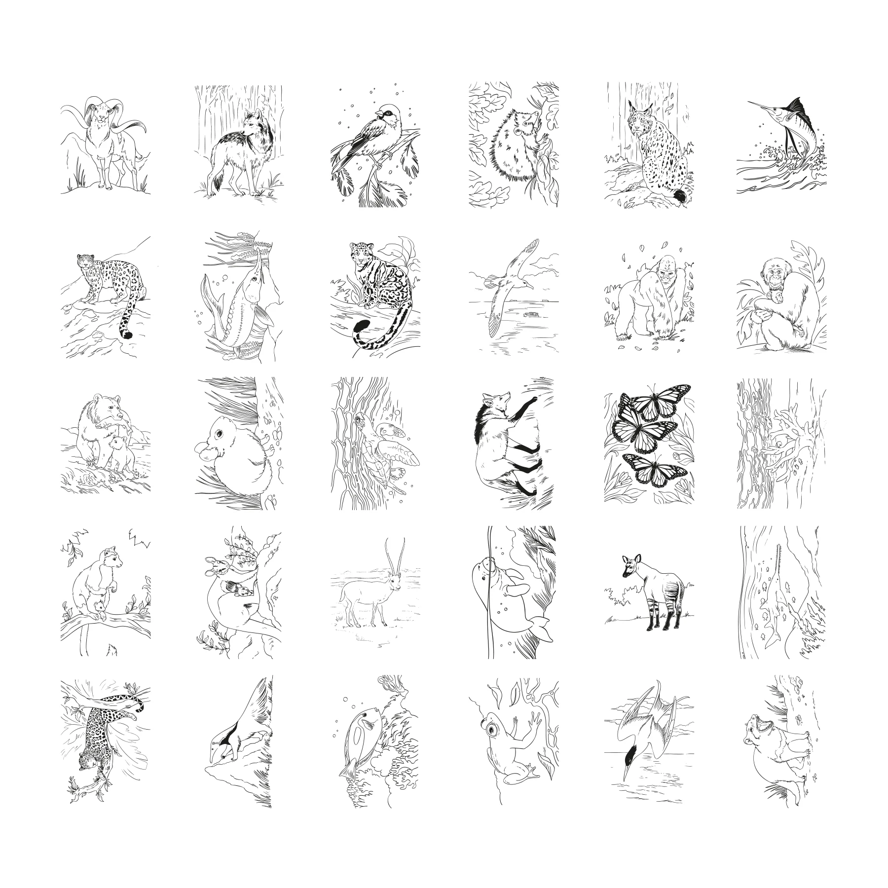 Miniature 11
