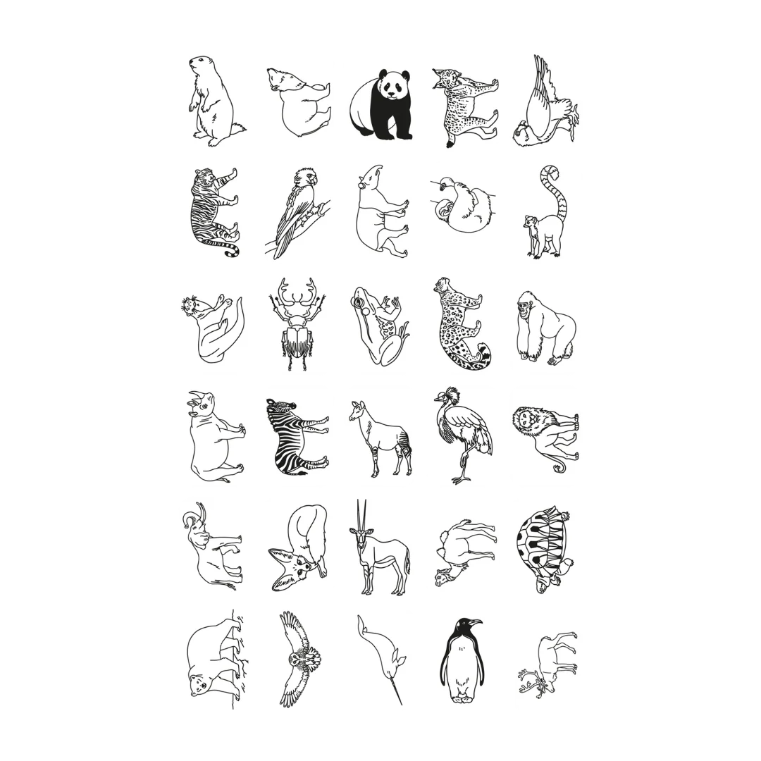 Miniature 9